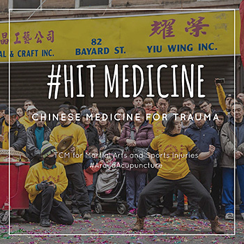 This is an image of Dr. Khanita practicing kung fu in New York for Chinese New Year. The text includes the hashtag #HitMedicine and “Chinese Medicine for Trauma - TCM for Martial Arts and Sports Injuries” Then the hashtag #ArayaAcupuncture